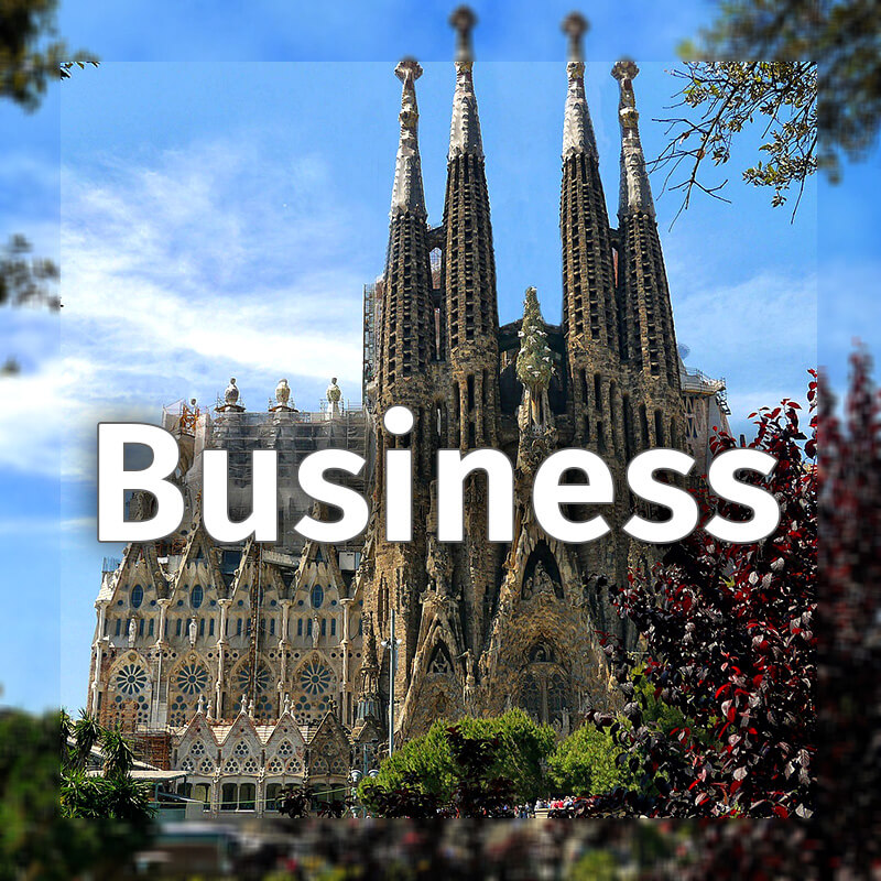 Spanish online business lesson Let's Speak Together